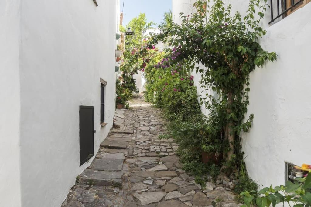 Tranquilo Y Comodo Apartamento En Vejer De La Frontera Luaran gambar